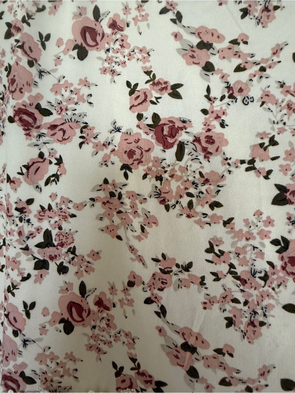Dainty Jewells Cream Maxi Dress with Rose Floral Print - Picture 2 of 4